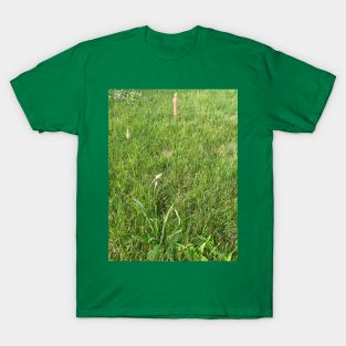 Grassland Plants T-Shirt